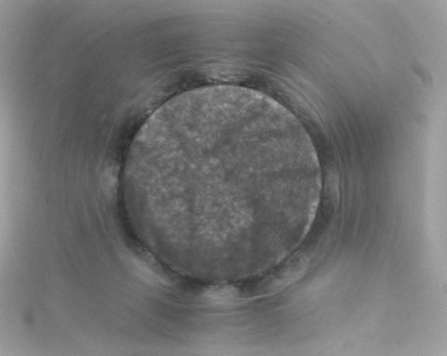 X0000115510271200911271437