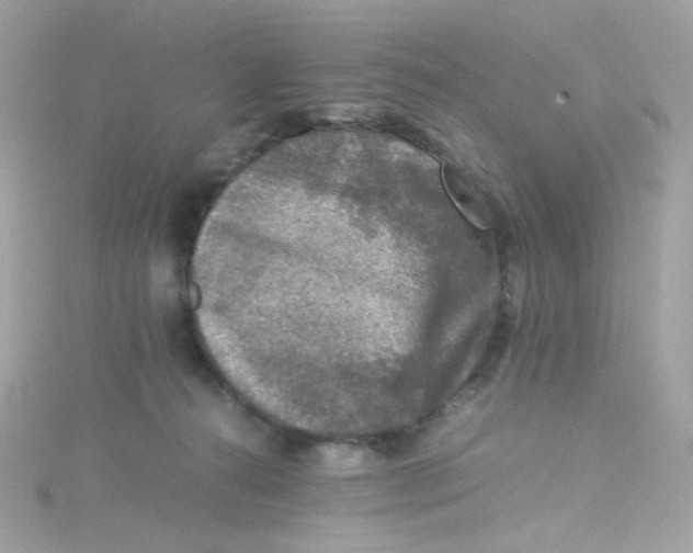 X0000115510272200911271437