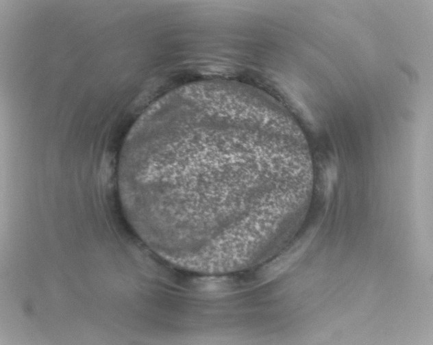 X0000115510273200911271437