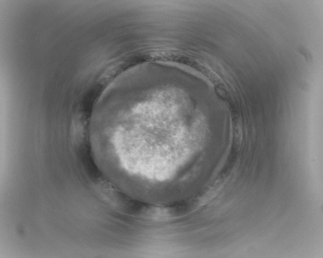 X0000115510276200911271437