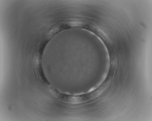 X0000115510277200911271437