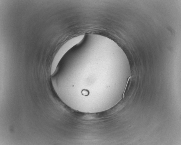 X0000115510280200911271437