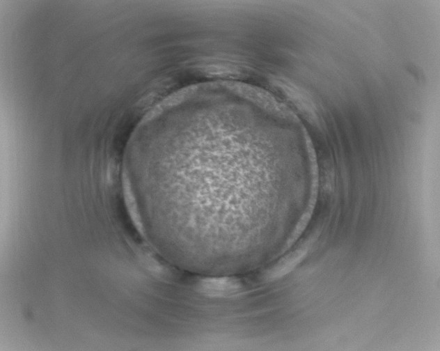 X0000115510281200911271437