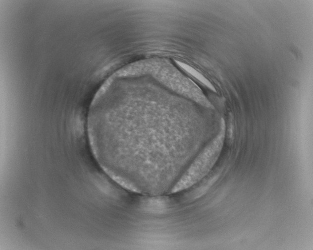 X0000115510282200911271437