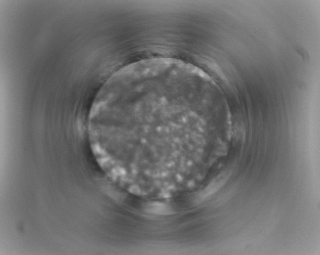 X0000115510285200911271437