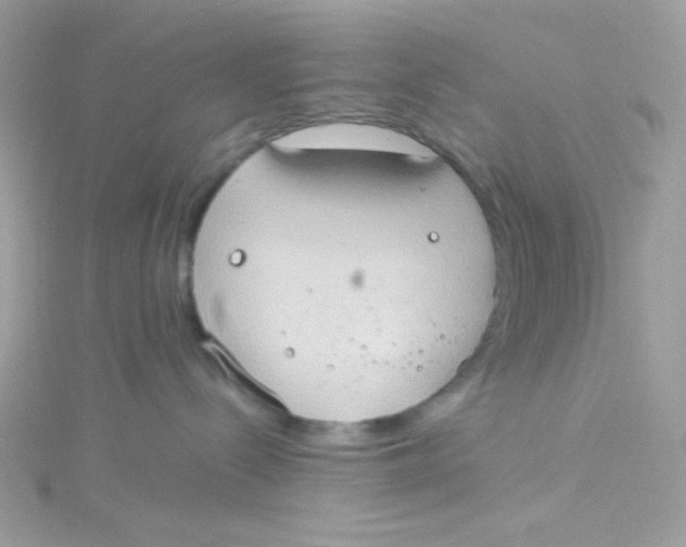 X0000115510288200911271437