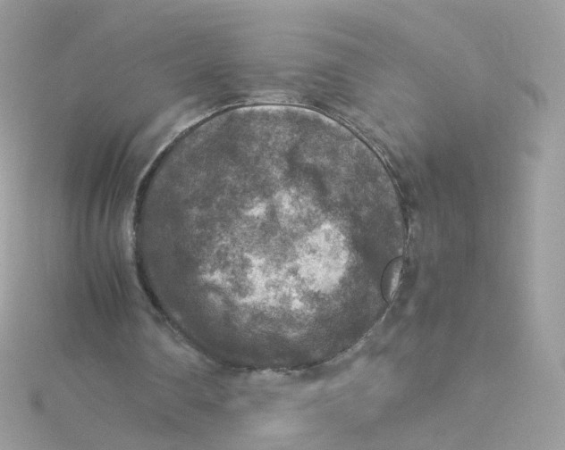 X0000115510290200911271437