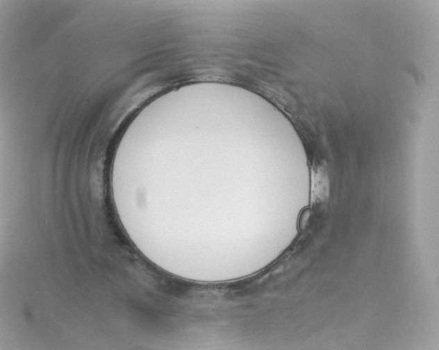 X0000115510291200911271437