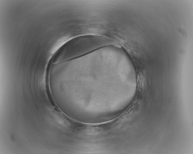 X0000115510292200911271437