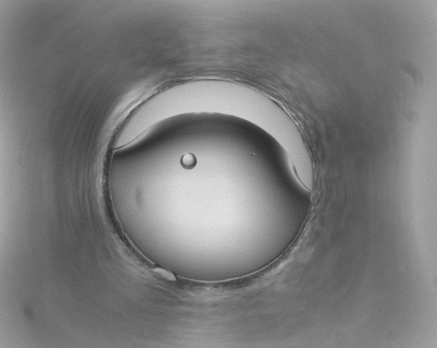 X0000115510293200911271437