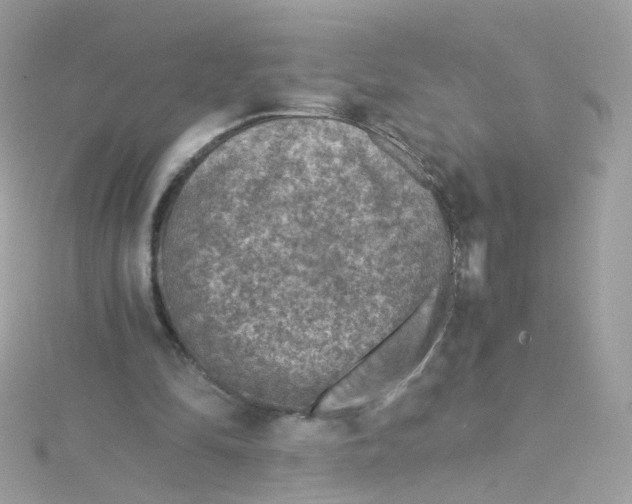 X0000115510294200911271436