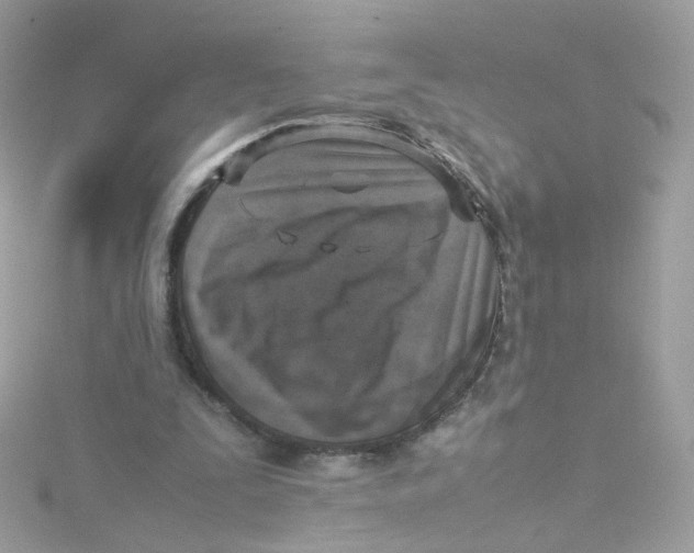 X0000115510295200911271436