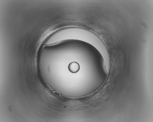 X0000115510296200911271436