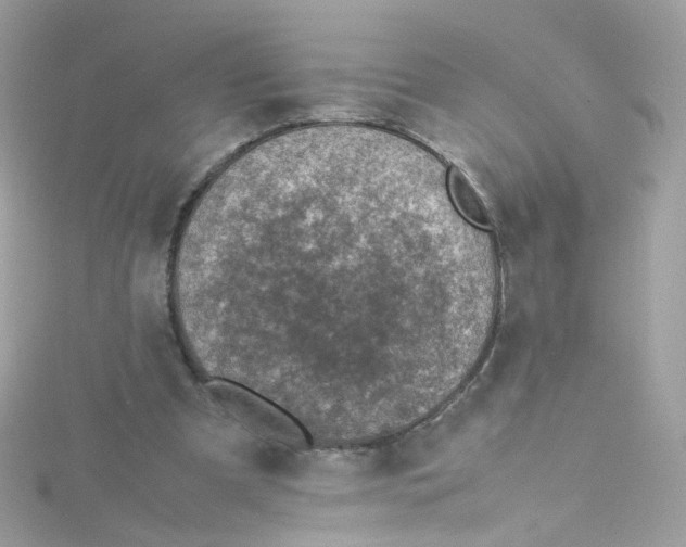 X0000115510297200911271436