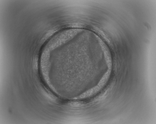 X0000115510299200911271436