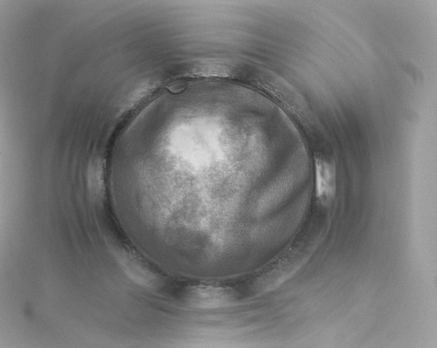 X0000115510300200911271436