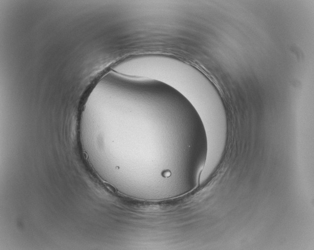 X0000115510301200911271436