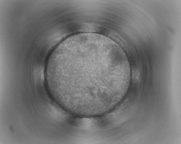 X0000115510302200911271436