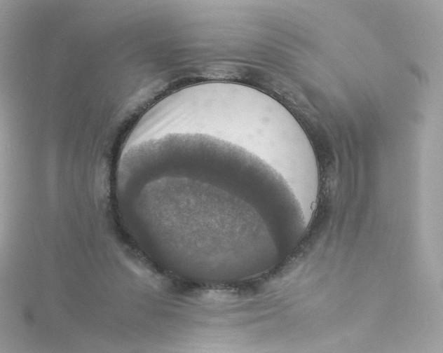 X0000115510303200911271436