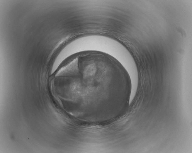 X0000115510304200911271436