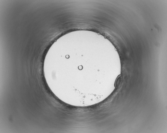 X0000115510305200911271436