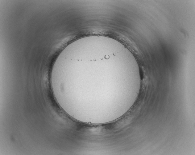 X0000115510306200911271436