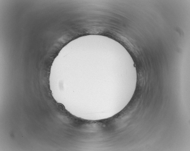 X0000115510307200911271436