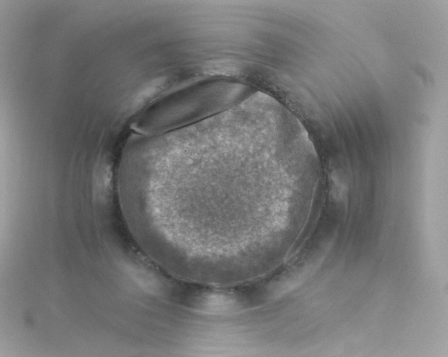 X0000115510308200911271436