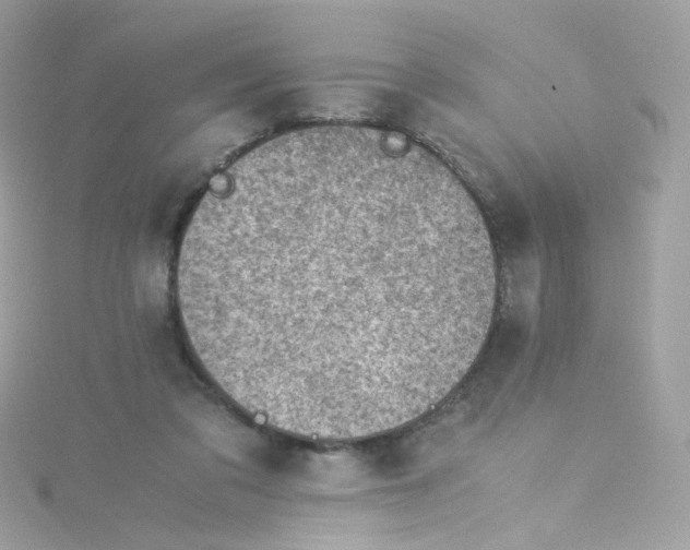 X0000115510309200911271436