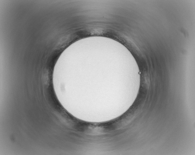 X0000115510311200911271436