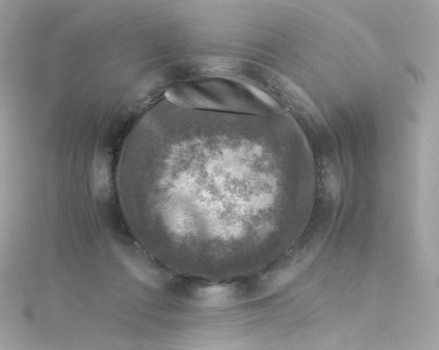 X0000115510312200911271436