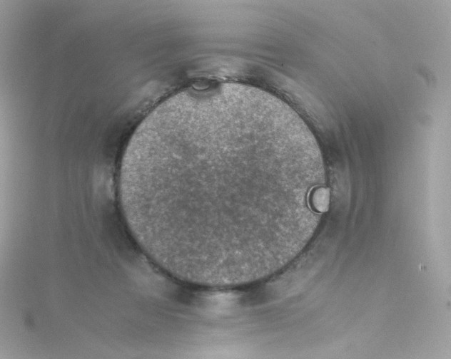 X0000115510313200911271436