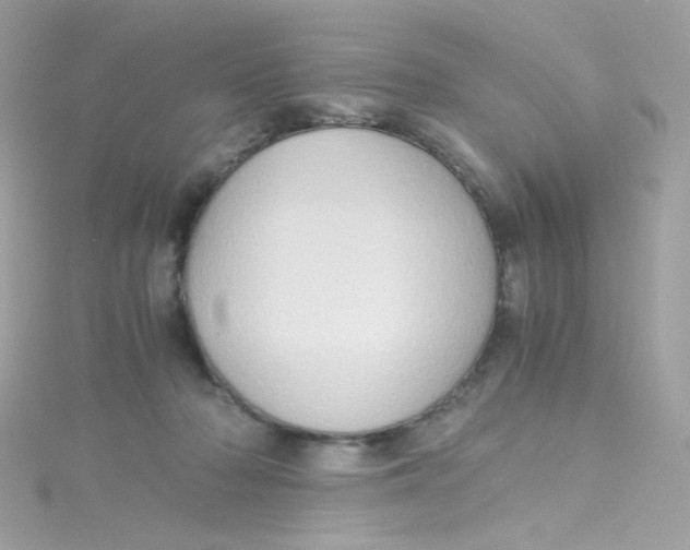 X0000115510318200911271436