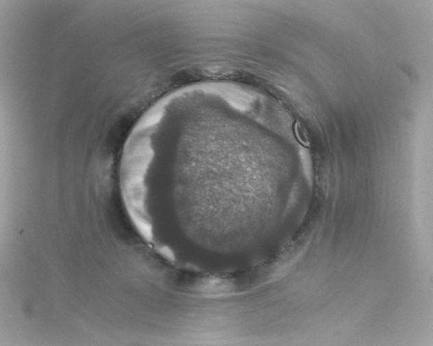 X0000115510319200911271436