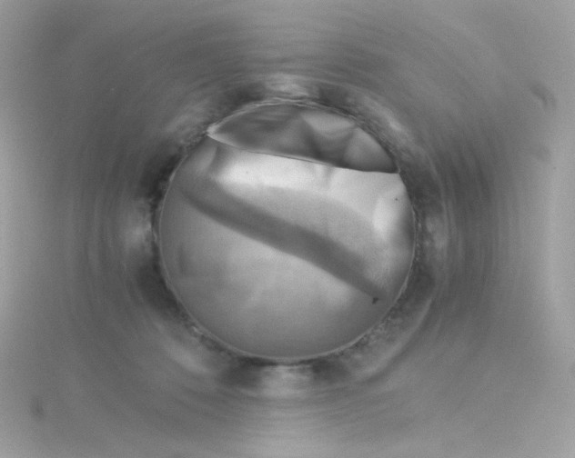 X0000115510320200911271436