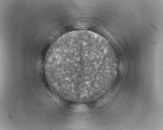 X0000115510322200911271436