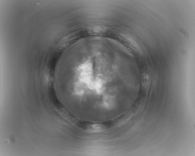 X0000115510324200911271436