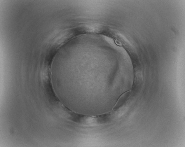 X0000115510325200911271436