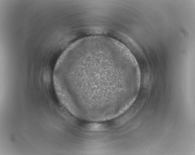 X0000115510326200911271436