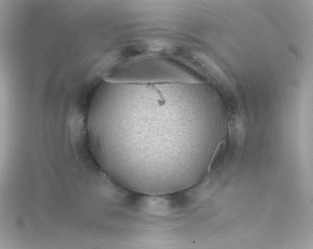 X0000115510327200911271436