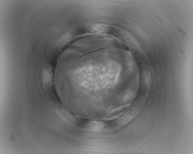 X0000115510328200911271436