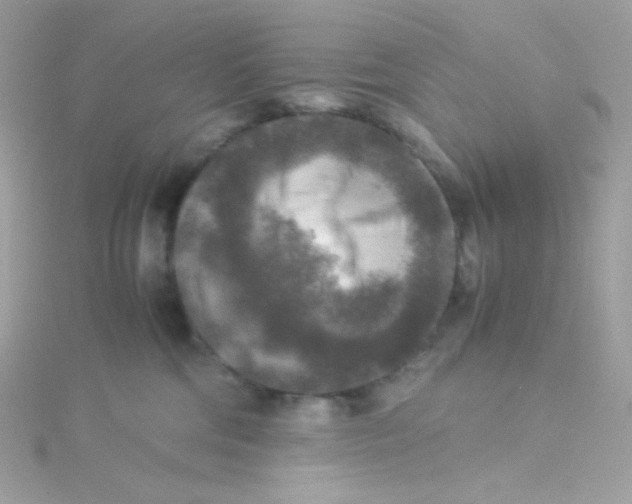 X0000115510330200911271436