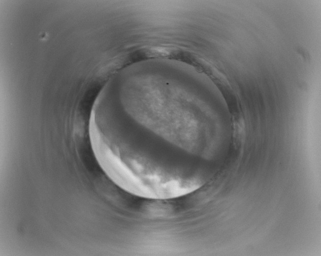 X0000115510331200911271436