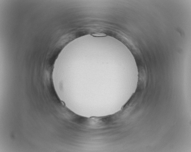 X0000115510333200911271436