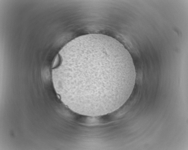 X0000115510335200911271436