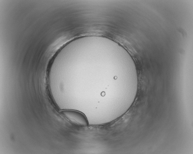 X0000115510338200911271435