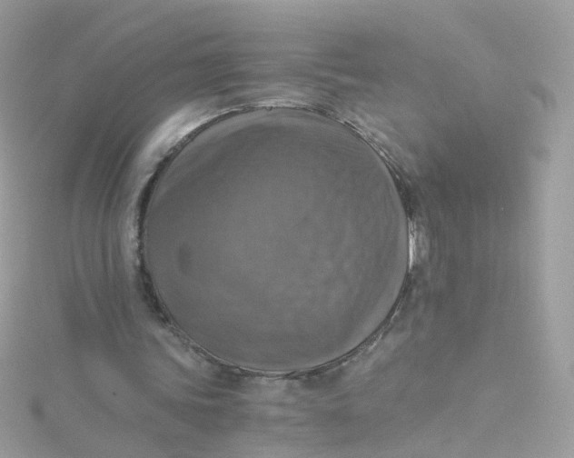 X0000115510339200911271435