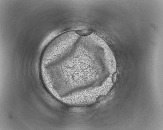 X0000115510341200911271435