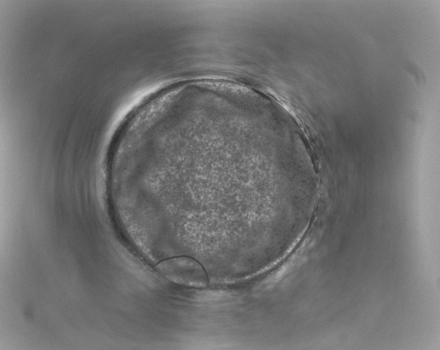 X0000115510342200911271435