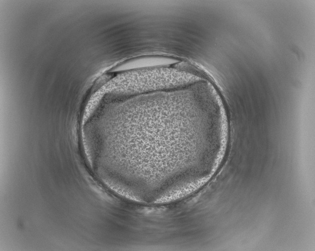 X0000115510345200911271435